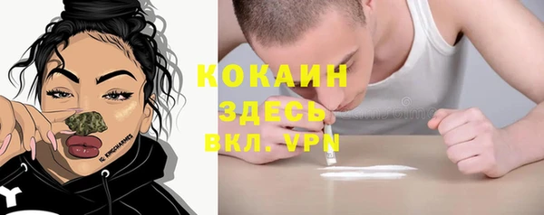 кокс Гусь-Хрустальный