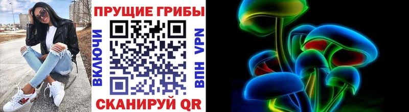 Псилоцибиновые грибы мицелий  купить наркоту  дарк нет телеграм  Дивногорск 