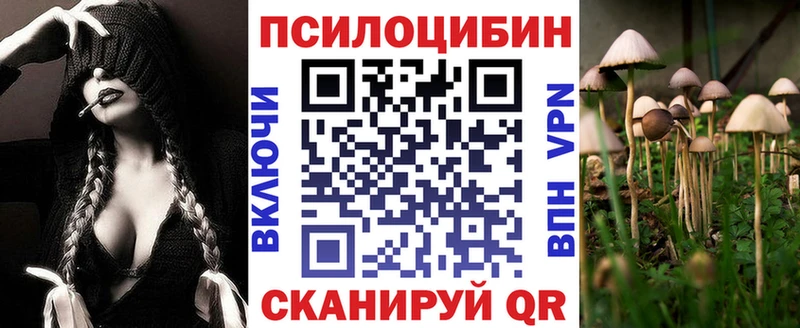 Псилоцибиновые грибы GOLDEN TEACHER Дивногорск